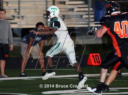 Thumbnail 1 in Tatum @ Gilmer photogallery.