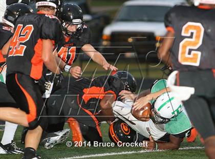 Thumbnail 3 in Tatum @ Gilmer photogallery.