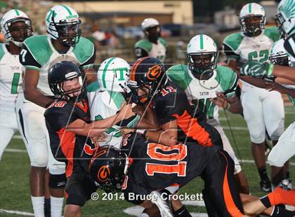 Thumbnail 2 in Tatum @ Gilmer photogallery.
