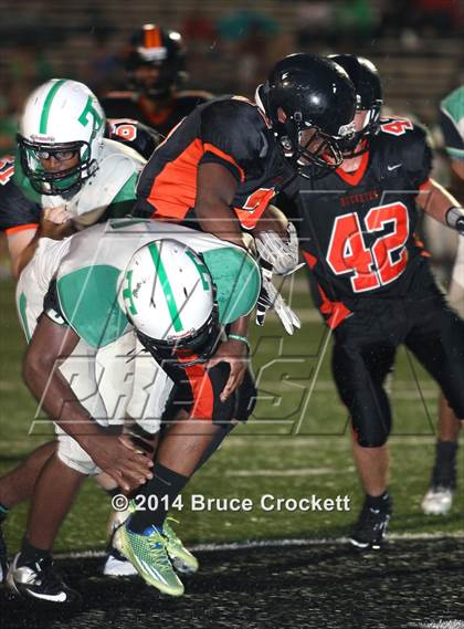 Thumbnail 3 in Tatum @ Gilmer photogallery.