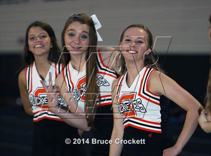 Thumbnail 3 in Tatum @ Gilmer photogallery.