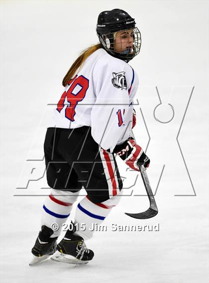 Thumbnail 1 in White Plains @ Somers/North Salem photogallery.