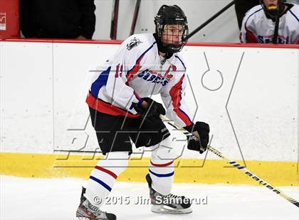 Thumbnail 3 in White Plains @ Somers/North Salem photogallery.