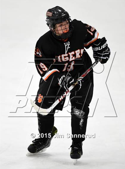 Thumbnail 2 in White Plains @ Somers/North Salem photogallery.