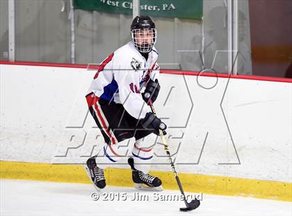 Thumbnail 2 in White Plains @ Somers/North Salem photogallery.
