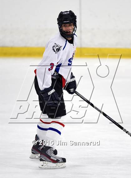 Thumbnail 1 in White Plains @ Somers/North Salem photogallery.
