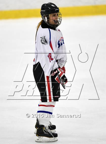 Thumbnail 3 in White Plains @ Somers/North Salem photogallery.
