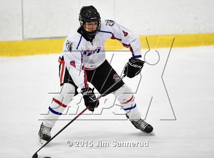 Thumbnail 2 in White Plains @ Somers/North Salem photogallery.