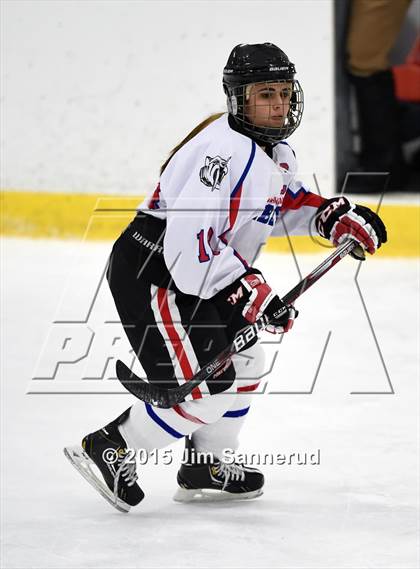 Thumbnail 3 in White Plains @ Somers/North Salem photogallery.