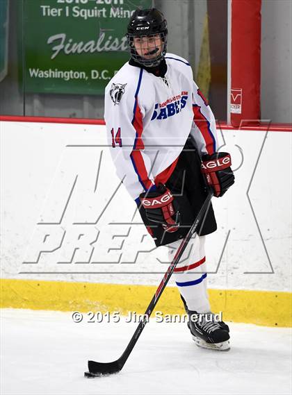 Thumbnail 1 in White Plains @ Somers/North Salem photogallery.
