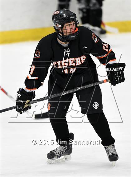 Thumbnail 3 in White Plains @ Somers/North Salem photogallery.