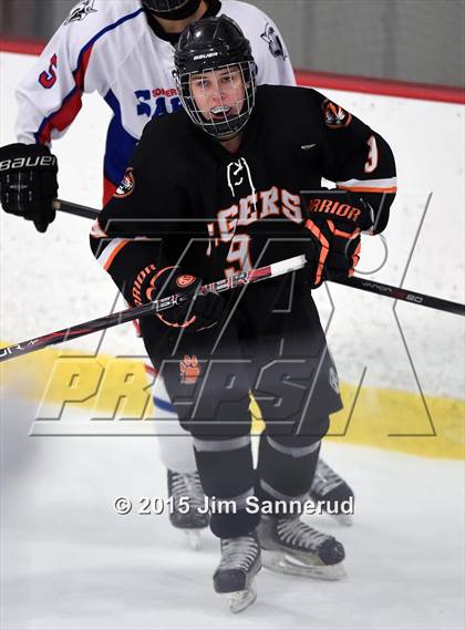 Thumbnail 2 in White Plains @ Somers/North Salem photogallery.