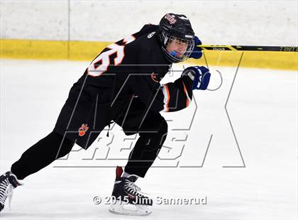 Thumbnail 1 in White Plains @ Somers/North Salem photogallery.