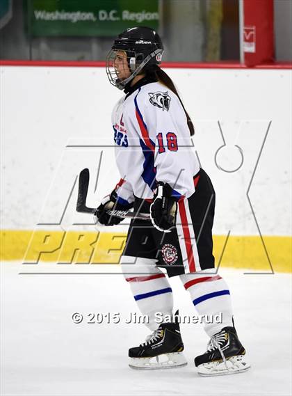 Thumbnail 3 in White Plains @ Somers/North Salem photogallery.
