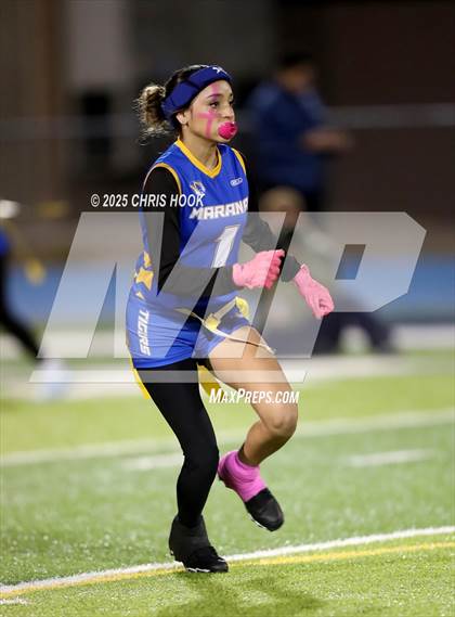 Thumbnail 1 in Hamilton vs. Marana (AIA 6A Semifinals) photogallery.