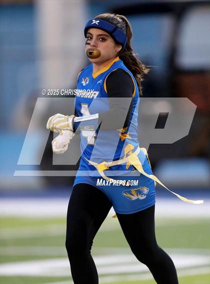 Thumbnail 2 in Hamilton vs. Marana (AIA 6A Semifinals) photogallery.