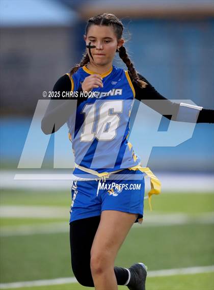 Thumbnail 2 in Hamilton vs. Marana (AIA 6A Semifinals) photogallery.