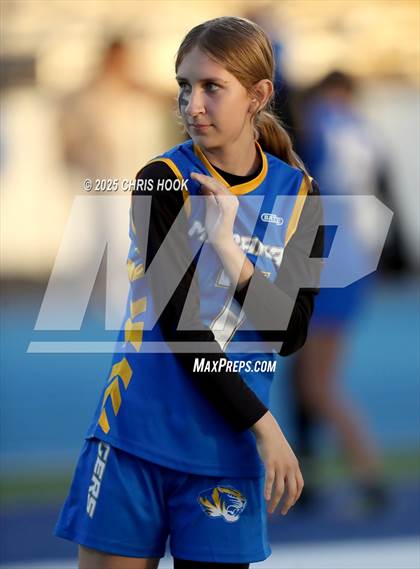 Thumbnail 1 in Hamilton vs. Marana (AIA 6A Semifinals) photogallery.