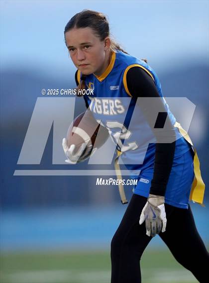 Thumbnail 3 in Hamilton vs. Marana (AIA 6A Semifinals) photogallery.