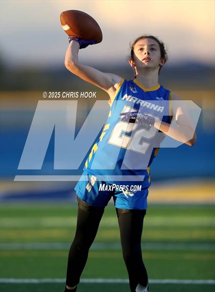 Thumbnail 1 in Hamilton vs. Marana (AIA 6A Semifinals) photogallery.