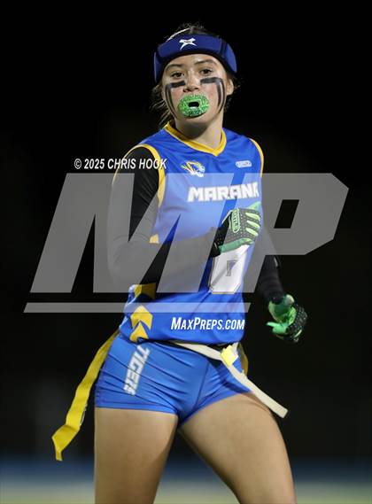 Thumbnail 2 in Hamilton vs. Marana (AIA 6A Semifinals) photogallery.