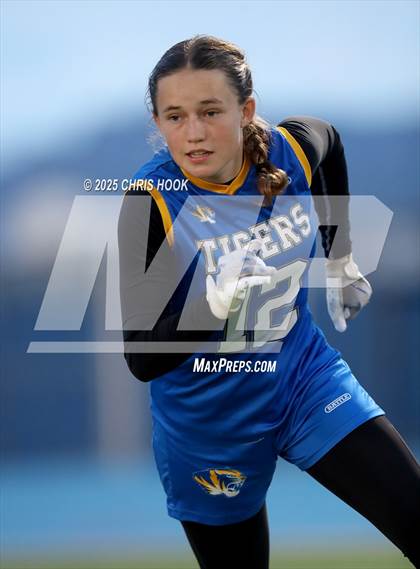 Thumbnail 2 in Hamilton vs. Marana (AIA 6A Semifinals) photogallery.