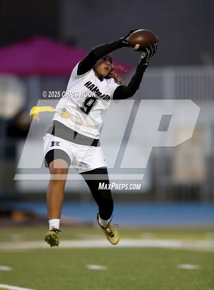 Thumbnail 3 in Hamilton vs. Marana (AIA 6A Semifinals) photogallery.