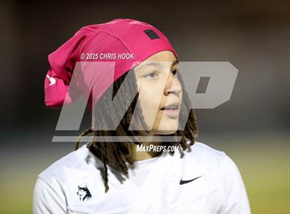 Thumbnail 1 in Hamilton vs. Marana (AIA 6A Semifinals) photogallery.