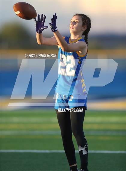 Thumbnail 2 in Hamilton vs. Marana (AIA 6A Semifinals) photogallery.