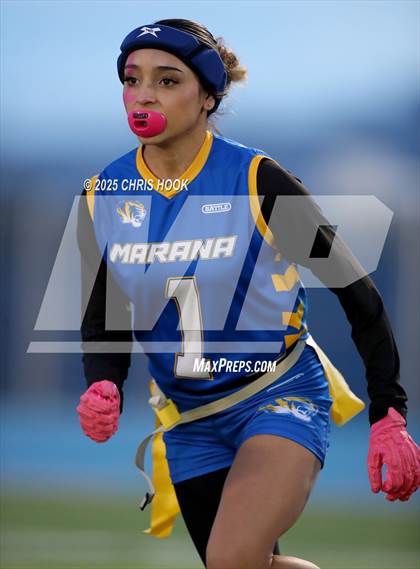 Thumbnail 1 in Hamilton vs. Marana (AIA 6A Semifinals) photogallery.