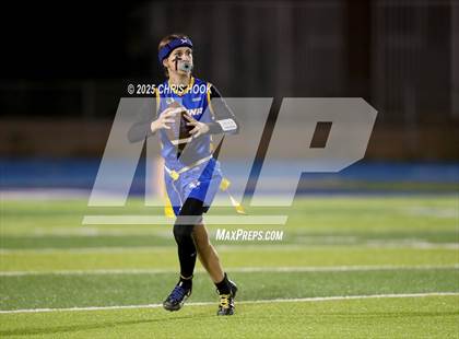 Thumbnail 3 in Hamilton vs. Marana (AIA 6A Semifinals) photogallery.