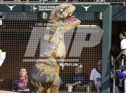 Thumbnail 2 in Midway vs. Clear Springs (UIL Softball 6A D1 Final) photogallery.