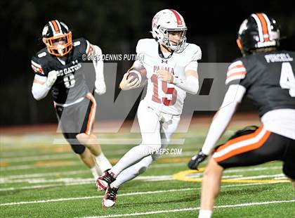 Thumbnail 1 in Palma @ Los Gatos (CIF CCS Division 1 Semifinals) photogallery.