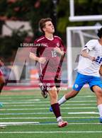 Photo from the gallery "Middletown @ Kingston"