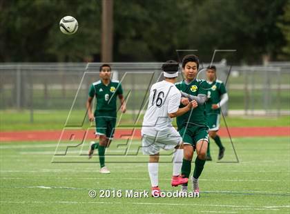 Thumbnail 1 in Mayde Creek vs Klein Forest photogallery.