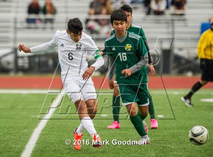 Thumbnail 2 in Mayde Creek vs Klein Forest photogallery.