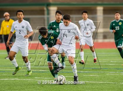 Thumbnail 1 in Mayde Creek vs Klein Forest photogallery.