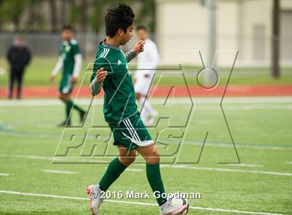 Thumbnail 2 in Mayde Creek vs Klein Forest photogallery.