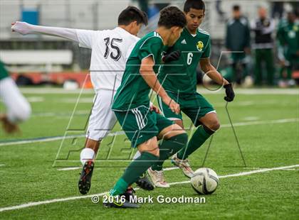 Thumbnail 1 in Mayde Creek vs Klein Forest photogallery.