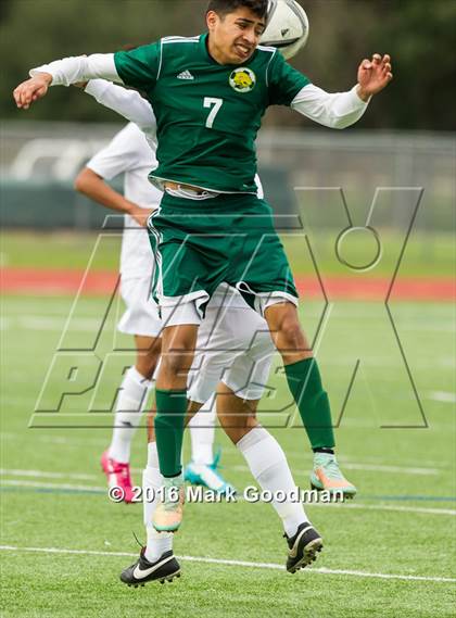 Thumbnail 2 in Mayde Creek vs Klein Forest photogallery.