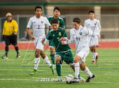Thumbnail 2 in Mayde Creek vs Klein Forest photogallery.