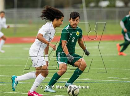 Thumbnail 1 in Mayde Creek vs Klein Forest photogallery.