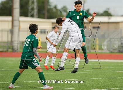 Thumbnail 2 in Mayde Creek vs Klein Forest photogallery.