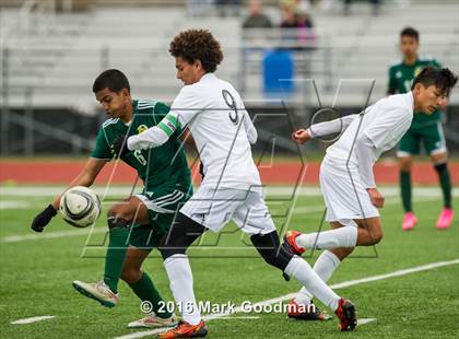Thumbnail 1 in Mayde Creek vs Klein Forest photogallery.
