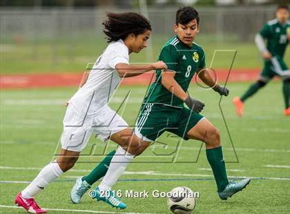 Thumbnail 2 in Mayde Creek vs Klein Forest photogallery.