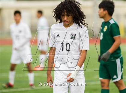 Thumbnail 1 in Mayde Creek vs Klein Forest photogallery.