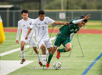 Thumbnail 2 in Mayde Creek vs Klein Forest photogallery.