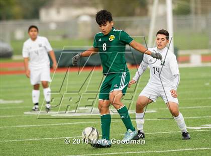 Thumbnail 1 in Mayde Creek vs Klein Forest photogallery.