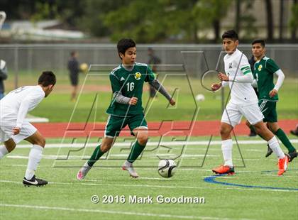 Thumbnail 1 in Mayde Creek vs Klein Forest photogallery.
