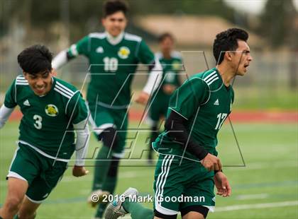 Thumbnail 1 in Mayde Creek vs Klein Forest photogallery.